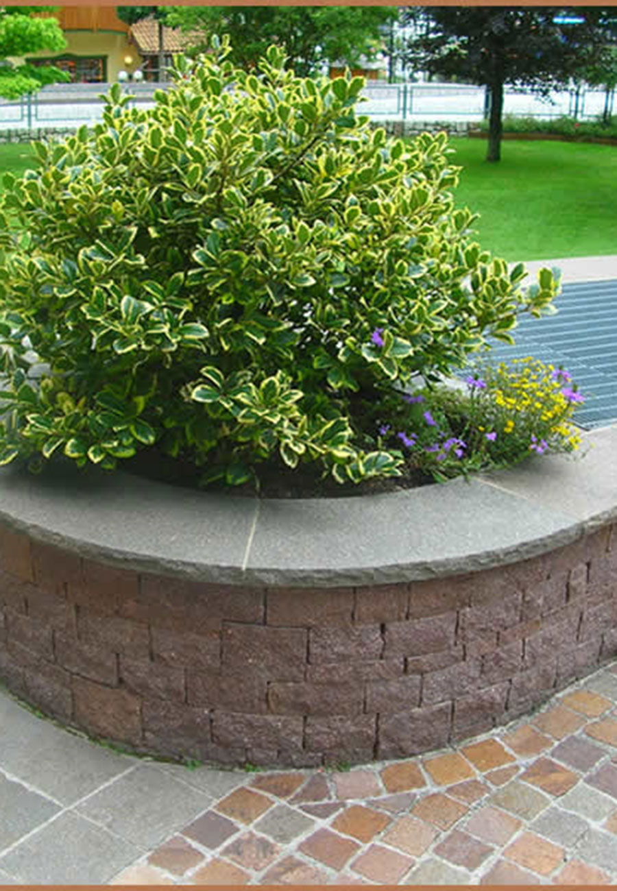 Dal 1987, City Stone distribuisce pietre naturali italiane ed estere. Ampia scelta, consulenza tecnica e due sedi strategiche per soddisfare ogni esigenza.