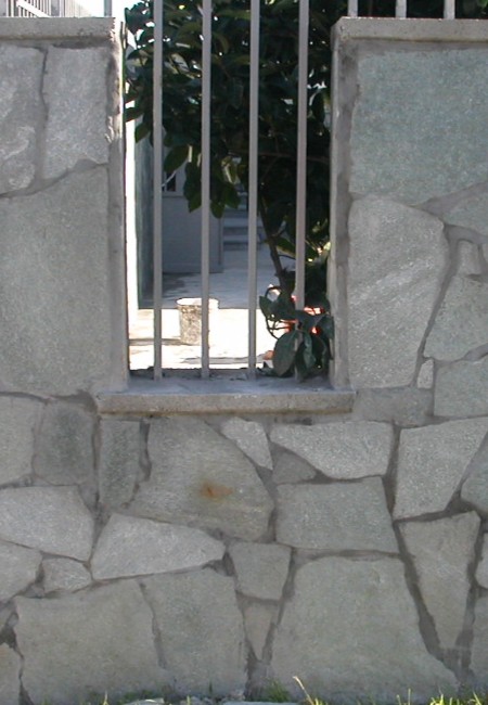 Immagine 1
